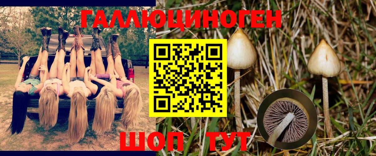 Галлюциногенные грибы ЛСД Ливны