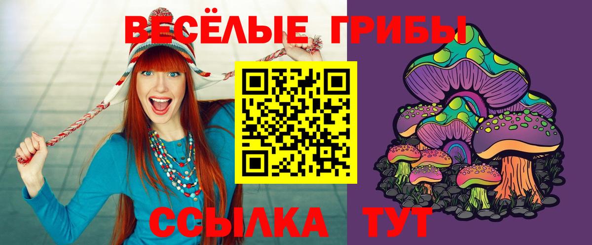Псилоцибиновые грибы прущие грибы  Псилоцибиновые грибы Psilocybe  Вход с VPN  Ливны 